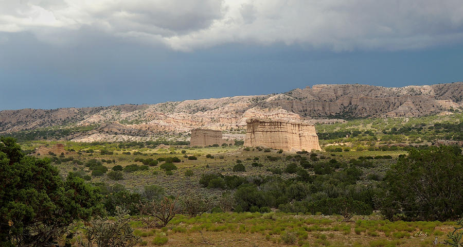 Stormy New Mexico Photograph by Gordon Beck