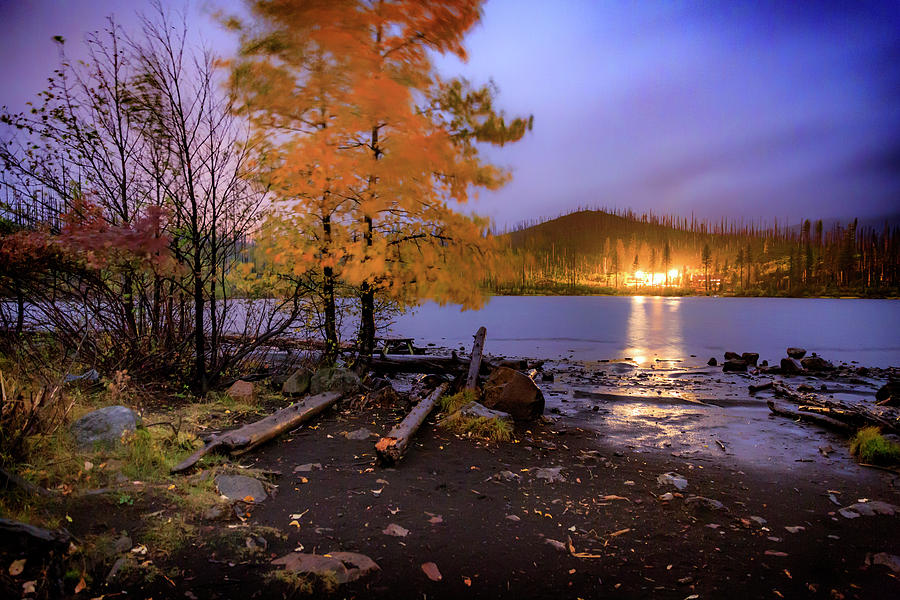 Tree Photograph - Stormy Night at Round Lake by Cat Connor