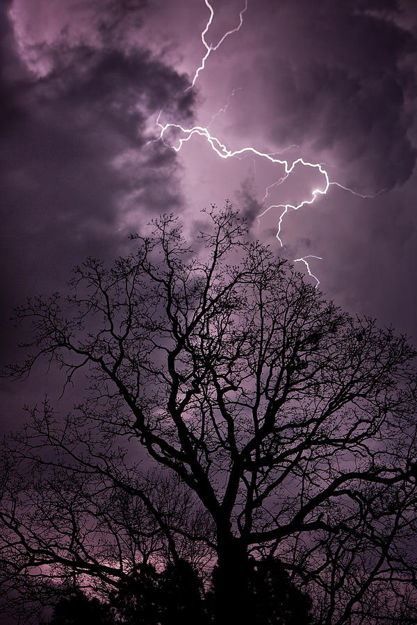 Stormy Night Photograph by Eilish Palmer