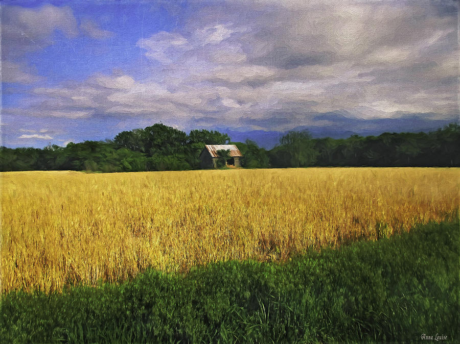Stormy Old Barn In Wheat Field 2 Photograph by Anna Louise