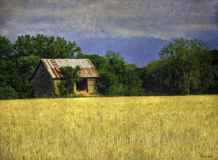 Stormy Old Barn In Wheat Field Photograph by Anna Louise