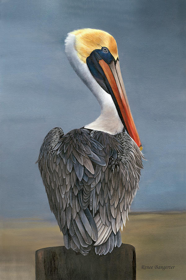 Stormy Pelican Painting by Renee Bangerter - Fine Art America