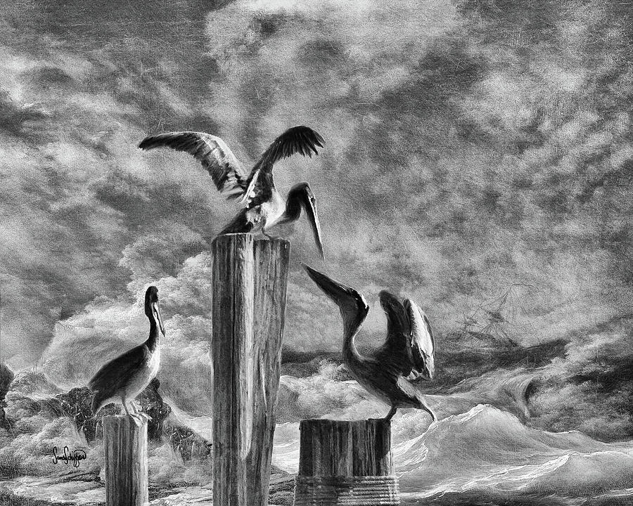 Stormy Pelicans Digital Art by Sandra Schiffner