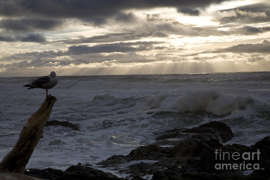 Stormy Seas Photograph by Timothy Johnson