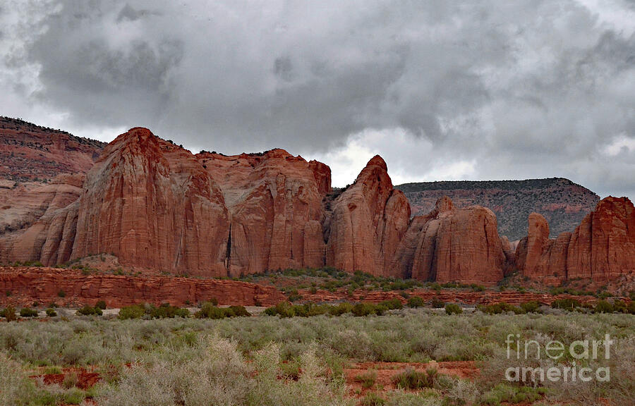 Stormy Skies and Red Rocks Photograph by Debby Pueschel