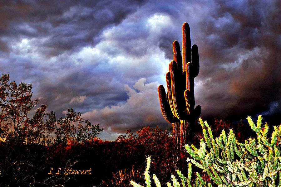 Stormy Skies at Sunset Photograph by L L Stewart
