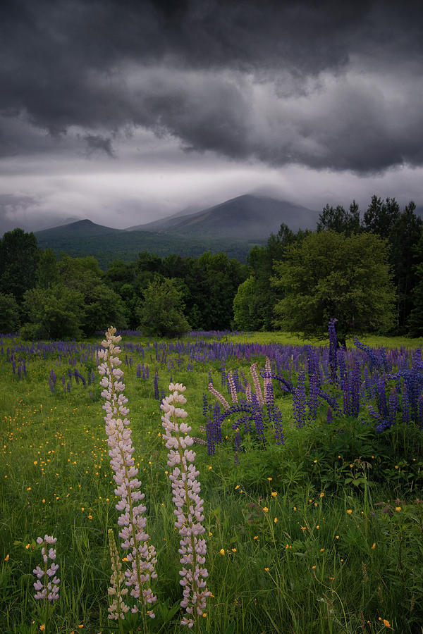 Stormy Skies Photograph by Darylann Leonard Photography