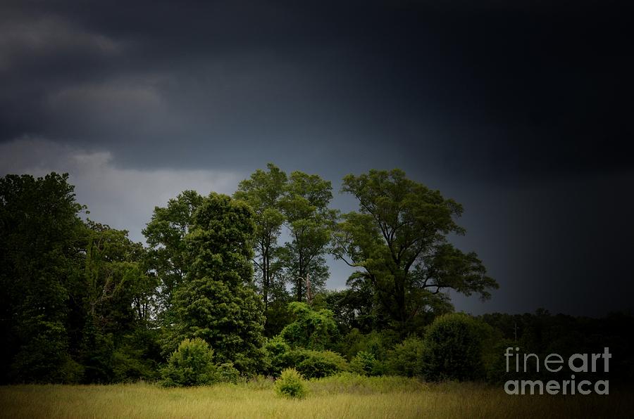 Stormy Skies in the Grasslands Photograph by Maria Urso