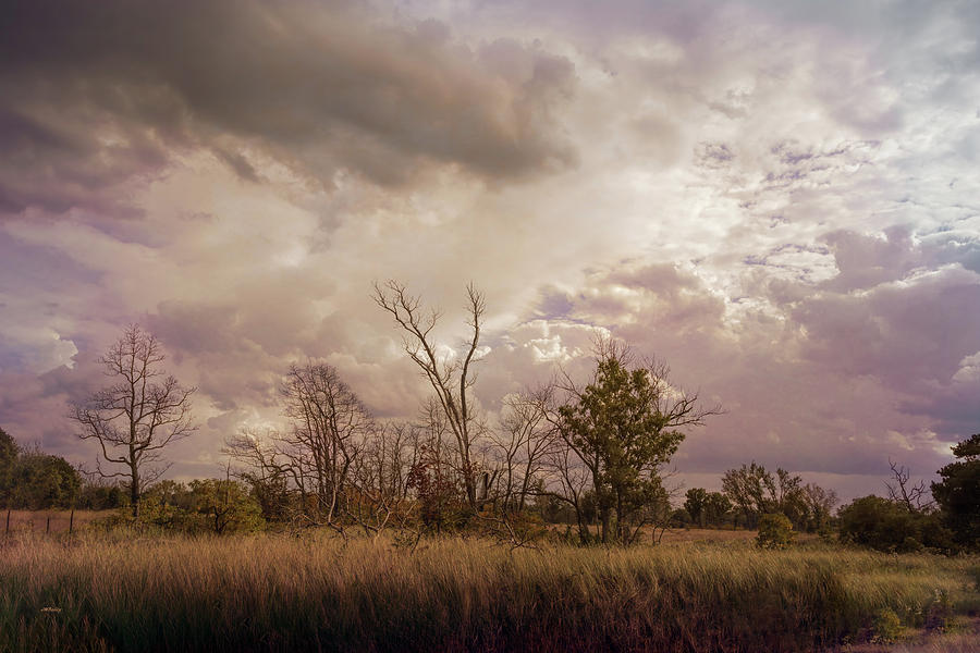 Stormy Skies Over Indiana Dunes Photograph