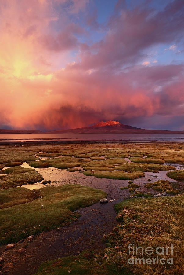 Stormy Sunset Over Bofedales and Lake Chungara Chile Photograph by James Brunker