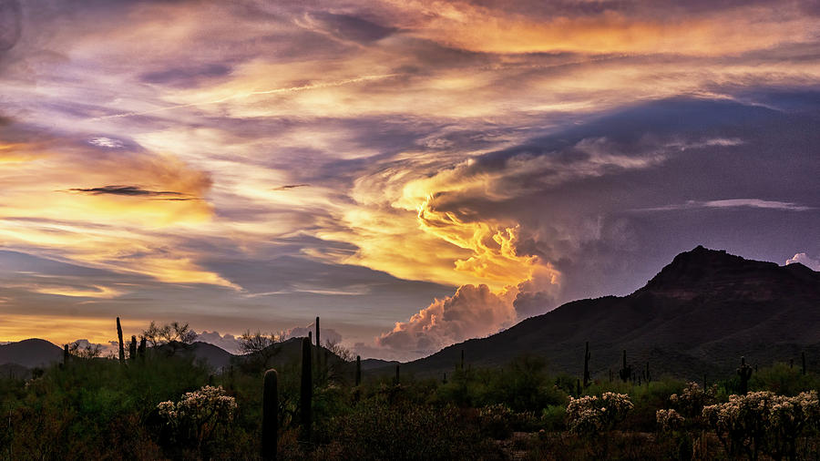 Stormy Sunset Skies in the Sonoran  Photograph by Saija Lehtonen