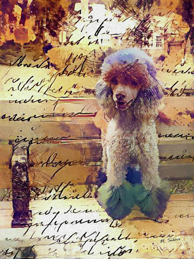 Story of a Painted Poodle on a Park Bench Digital Art by Nina Silver