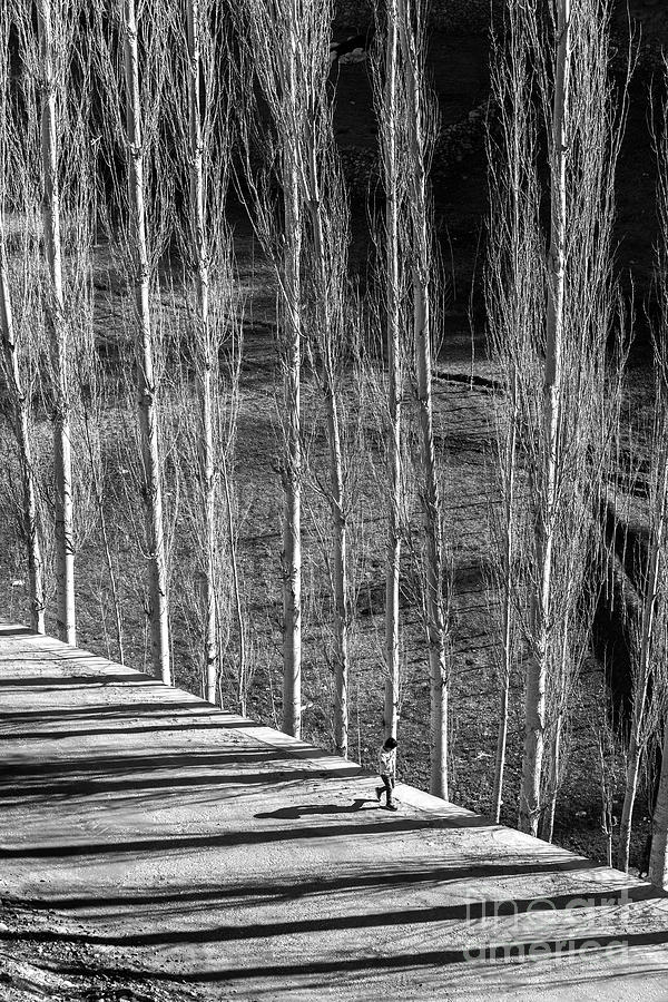 Black And White Photograph - Story Of Light by Awais Yaqub Black And White Photograph - Story Of Light by Awais Yaqub
