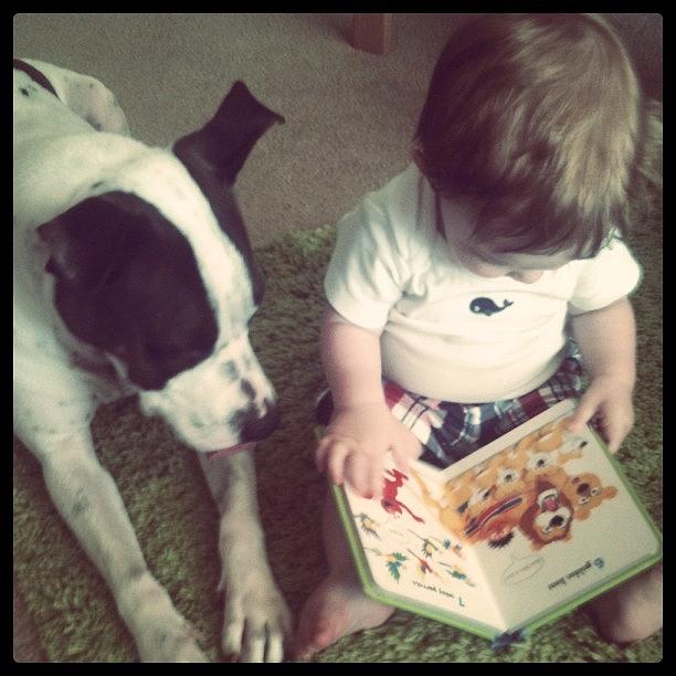 Bestfriends Photograph - Story Time by Michelle Ridd