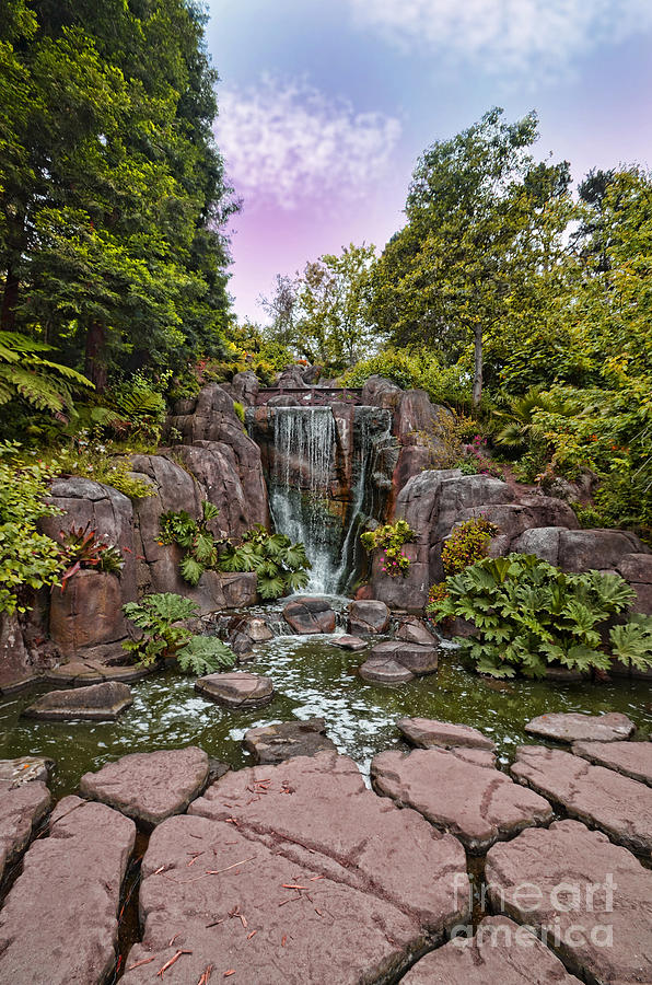 Tree Photograph - Stow Lakes Waterfall  by Jim Fitzpatrick