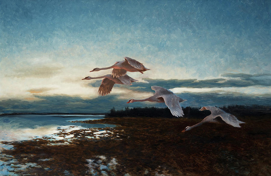 Swan Painting - Flock of swans by Bruno Liljefors