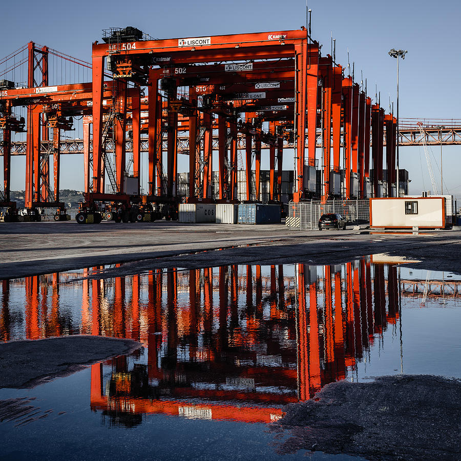 Crane Photograph - Straddle Carriers Reflecting on Large Puddle II by Marco Oliveira