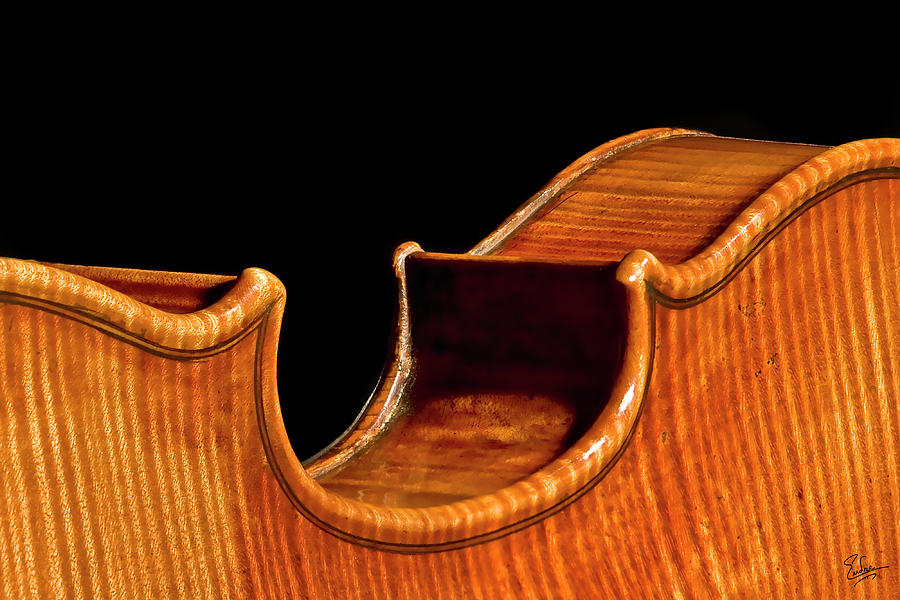 Stradivarius Back Corner Photograph by Endre Balogh