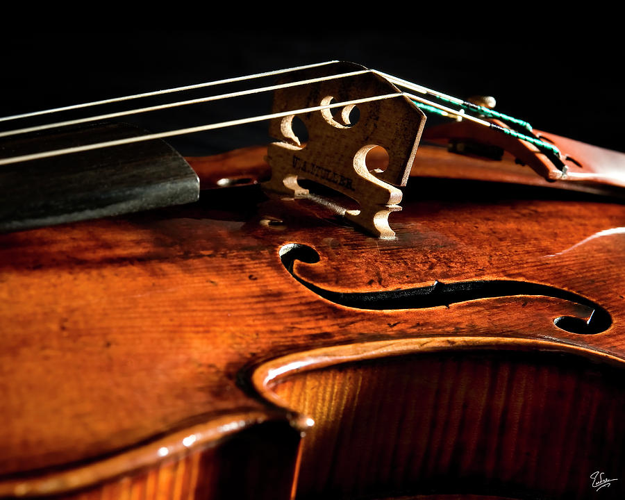 Stradivarius Photograph by Endre Balogh