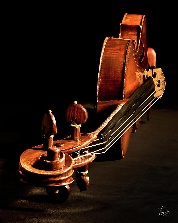 Stradivarius From The Top Photograph by Endre Balogh