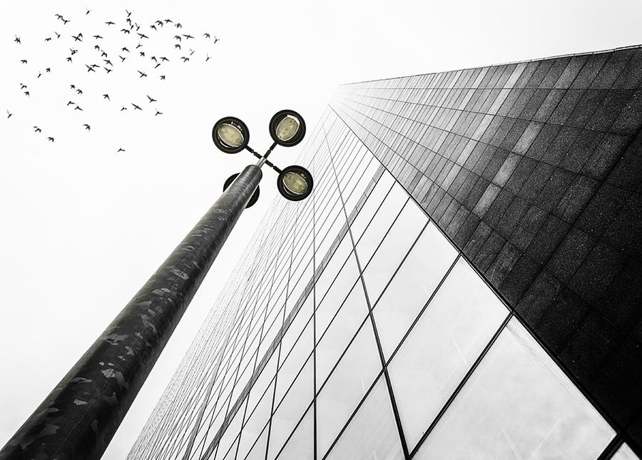 Straight To The Sky Photograph by Em-photographies