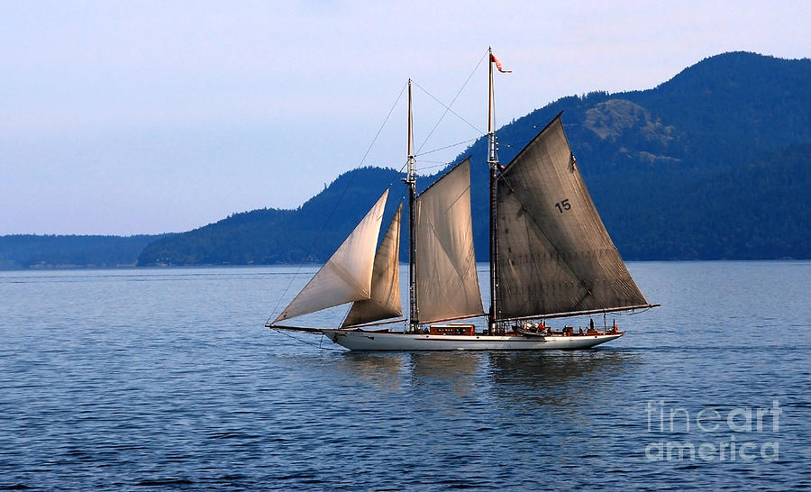 Strait of Juan de Fuca Sailboat Photograph by Kathleen Gauthier Strait of Juan de Fuca Sailboat Photograph by Kathleen Gauthier