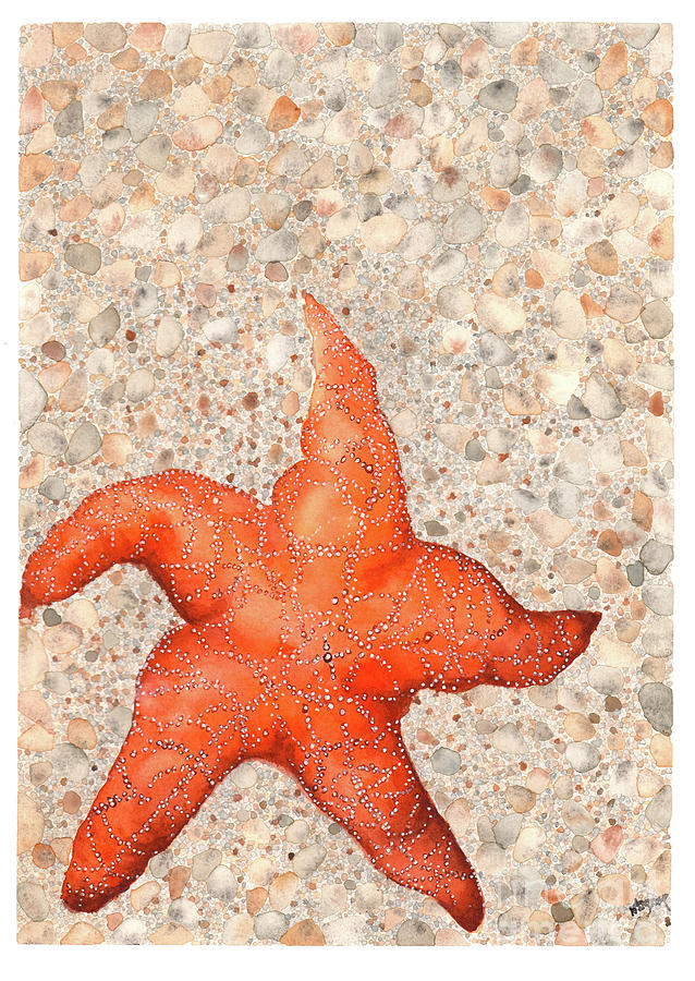 Stranded Starfish Painting by Hilda Wagner