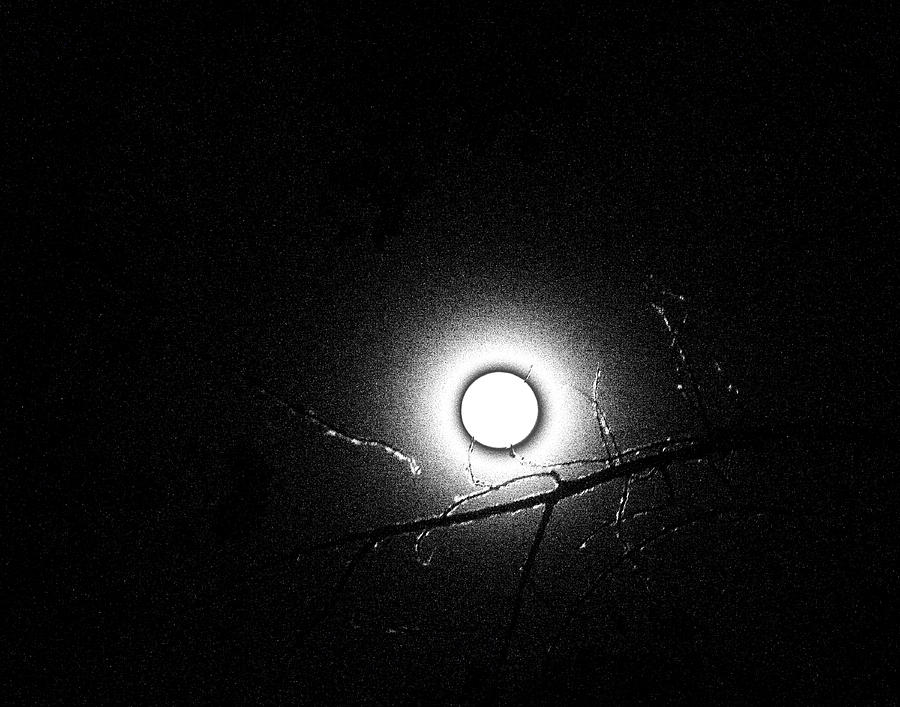 Strange Moon RIsing Utah Photograph by Ann Tracy