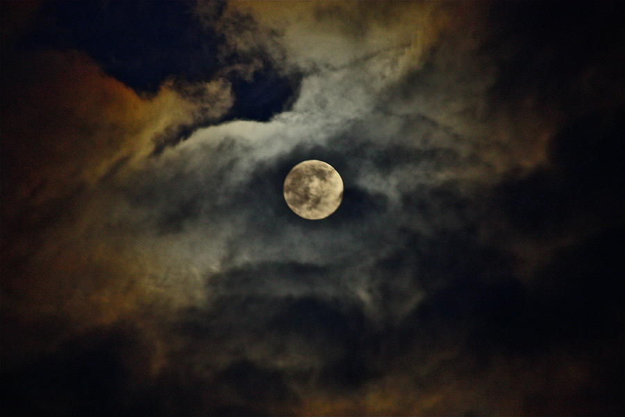 Strange Moonlight Photograph by Diana Hatcher