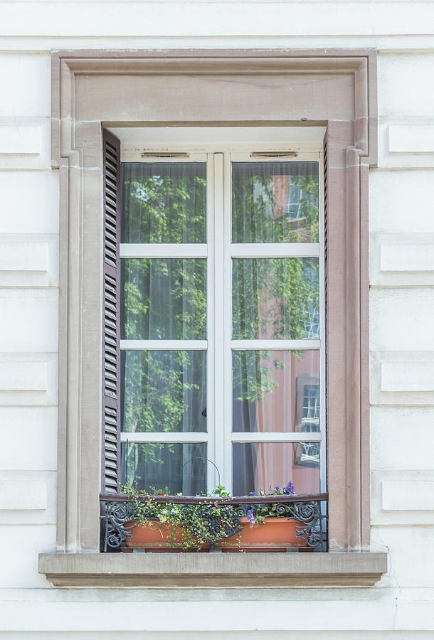 Strasbourg Window 03 Photograph by Teresa Mucha