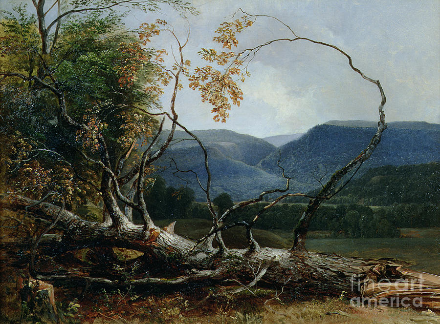 Stratton Notch - Vermont Painting by Asher Brown Durand