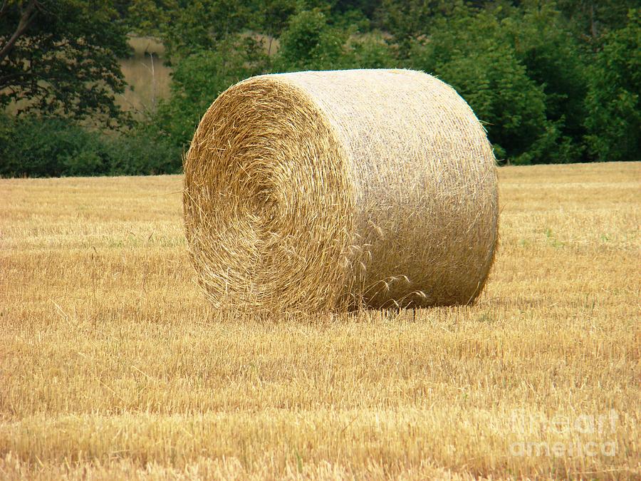 Straw Bale Photograph by Margaret Hamilton