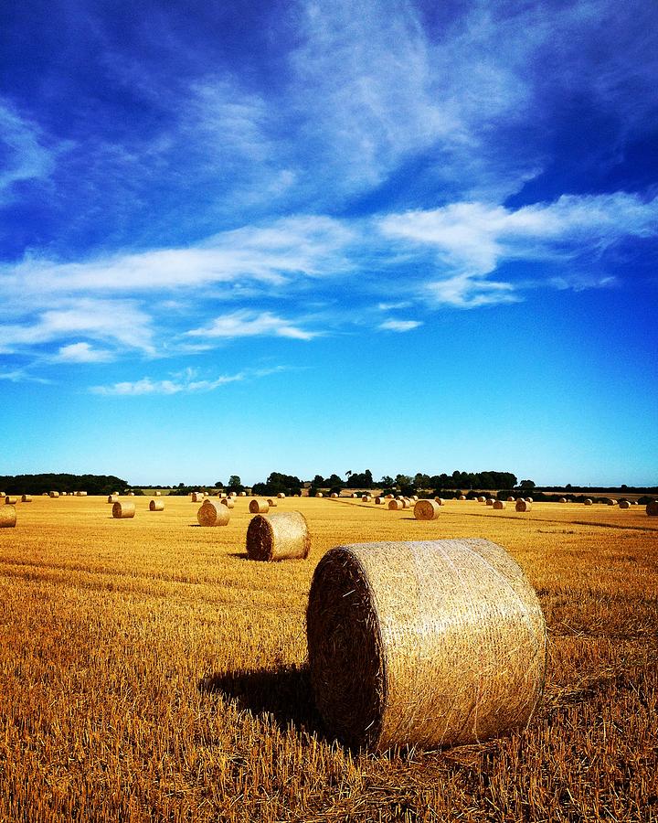 Straw bales at harvest time Photograph by Seeables Visual Arts