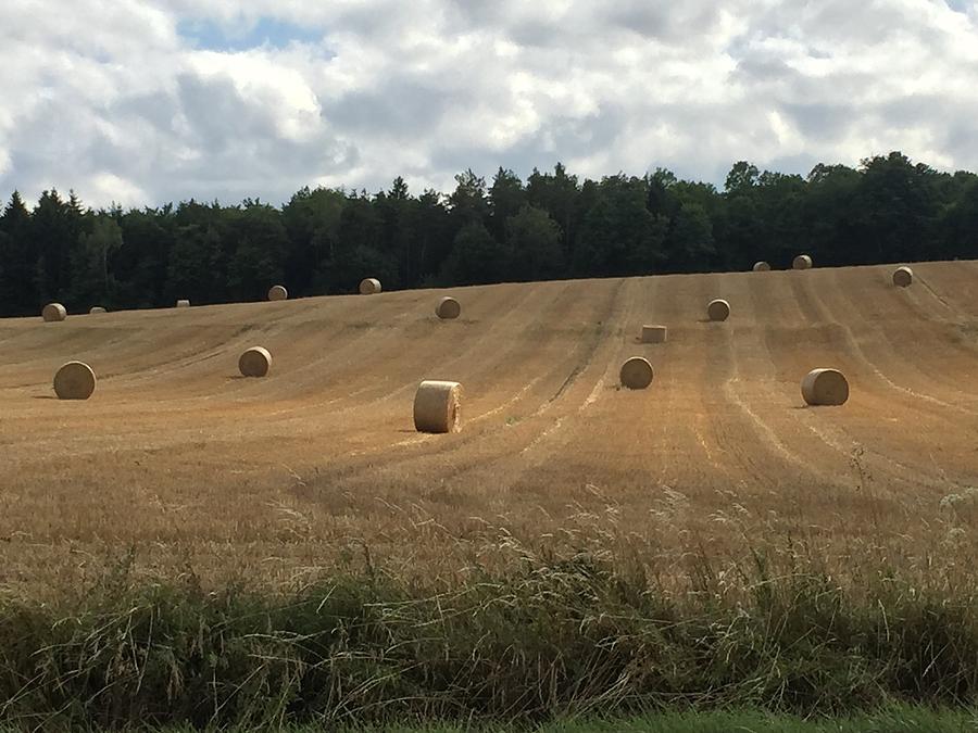Straw bales Photograph by Eric Tressler