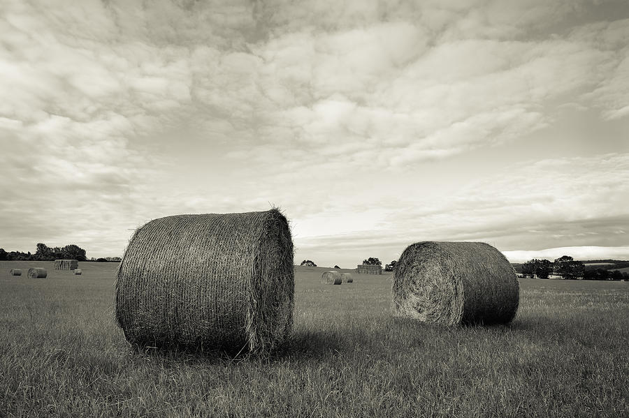 Black And White Photograph - Straw Bales by Wendy Chapman
