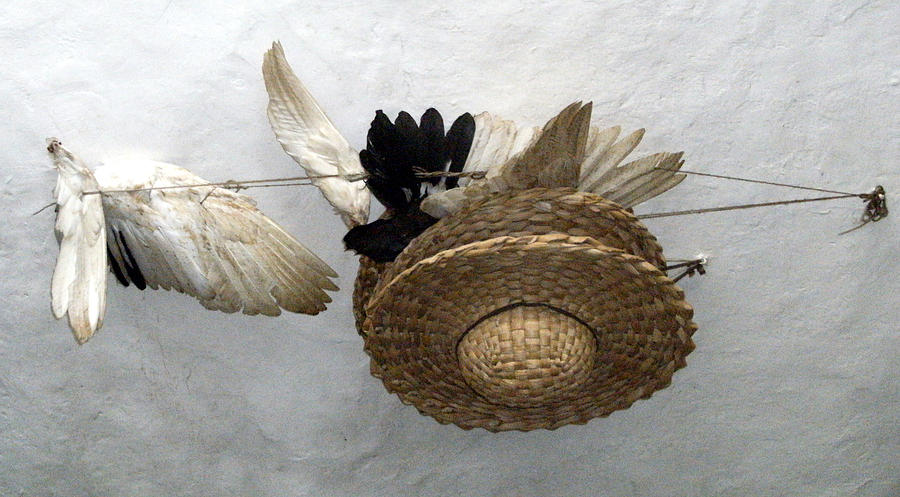 Straw Hat and Feathers Photograph by Mindy Newman