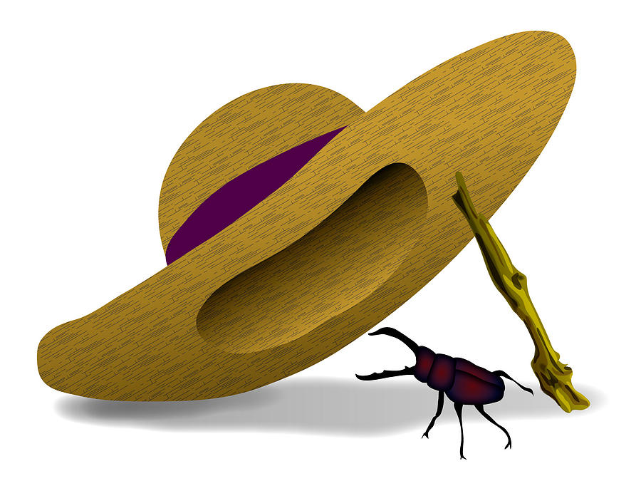Straw Hat And Stag beetle Digital Art by Moto-hal