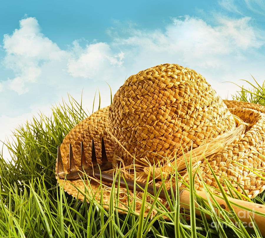 Nature Photograph - Straw hat on grass with blue sky  by Sandra Cunningham