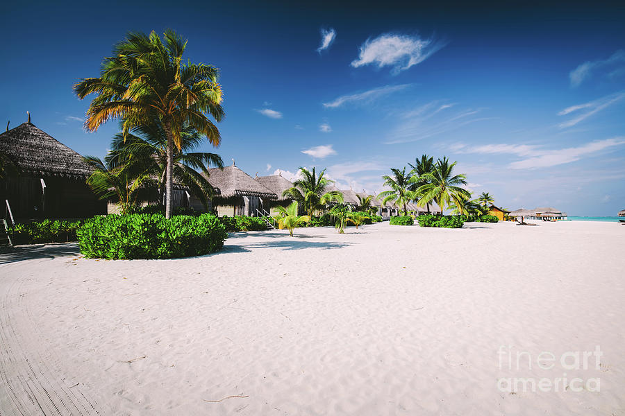 Straw houses on a sandy beach with tropical flora on Maldives Photograph by Michal Bednarek
