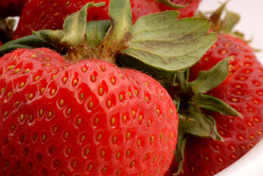 Strawberries 2 Photograph by JT Lewis