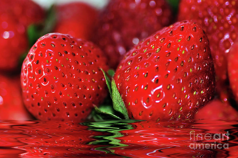 Strawberry Photograph - Strawberries Afloat by Kaye Menner by Kaye Menner