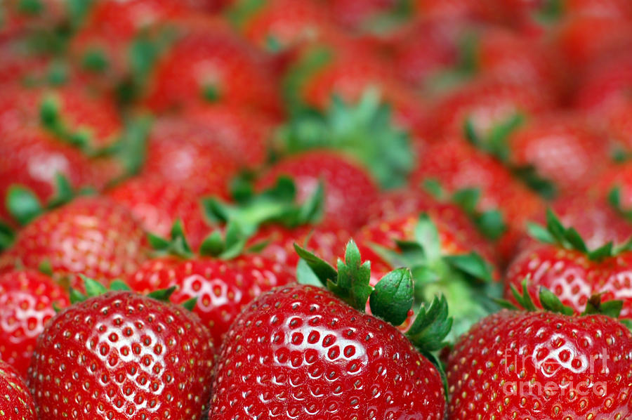 Space Photograph - Strawberries Close-Up Picture by Paul Velgos
