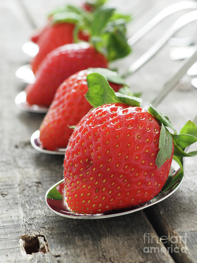 Strawberries, fresh and tasty Photograph by Andreas Berheide