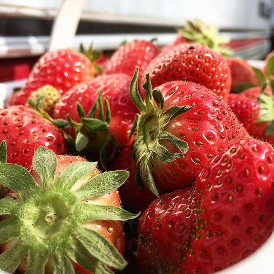 Shoplocal Photograph - Strawberries From Darnell Farms Today by Ashley Hackshaw