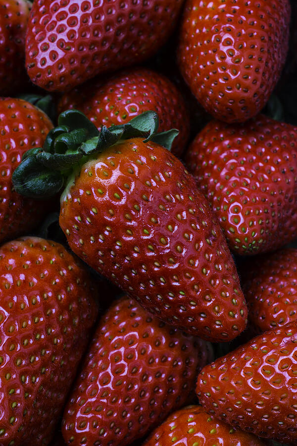 Strawberries Photograph by Garry Gay