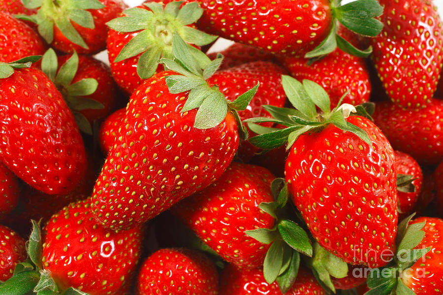 Strawberries Photograph by Gaspar Avila