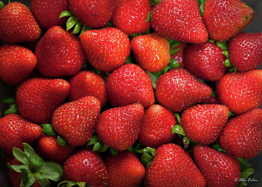 Strawberries in a bulk Photograph by Alexander Fedin