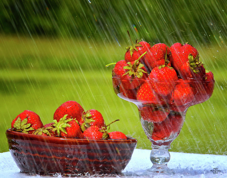 Strawberries in the Rain Photograph by Peg Runyan