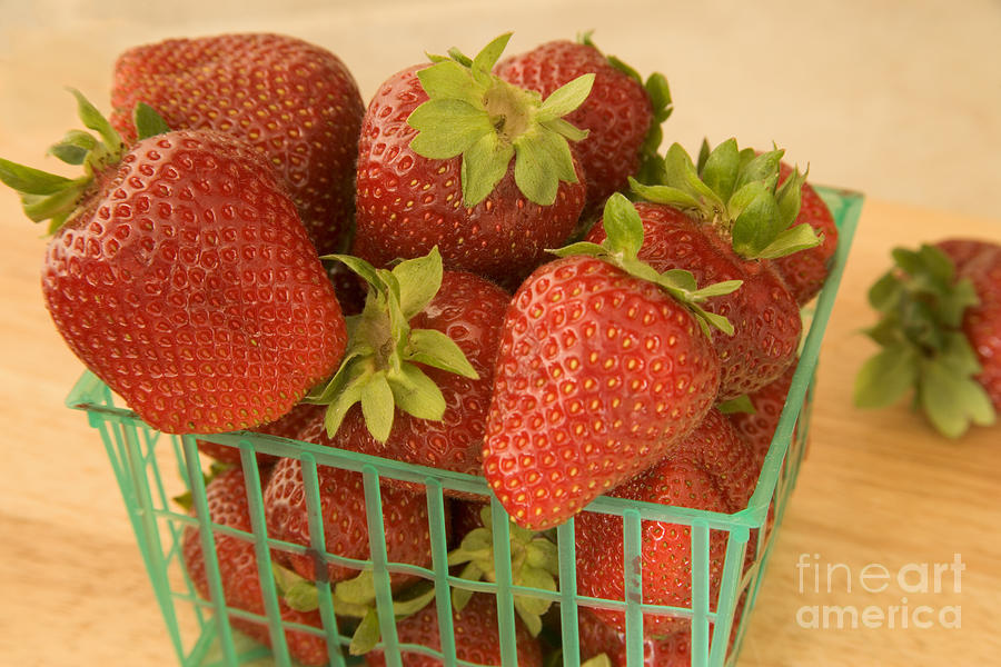 Strawberries Photograph by Inga Spence