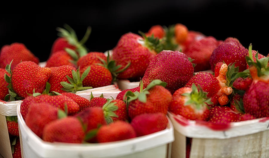 Strawberries Photograph by John Hoey